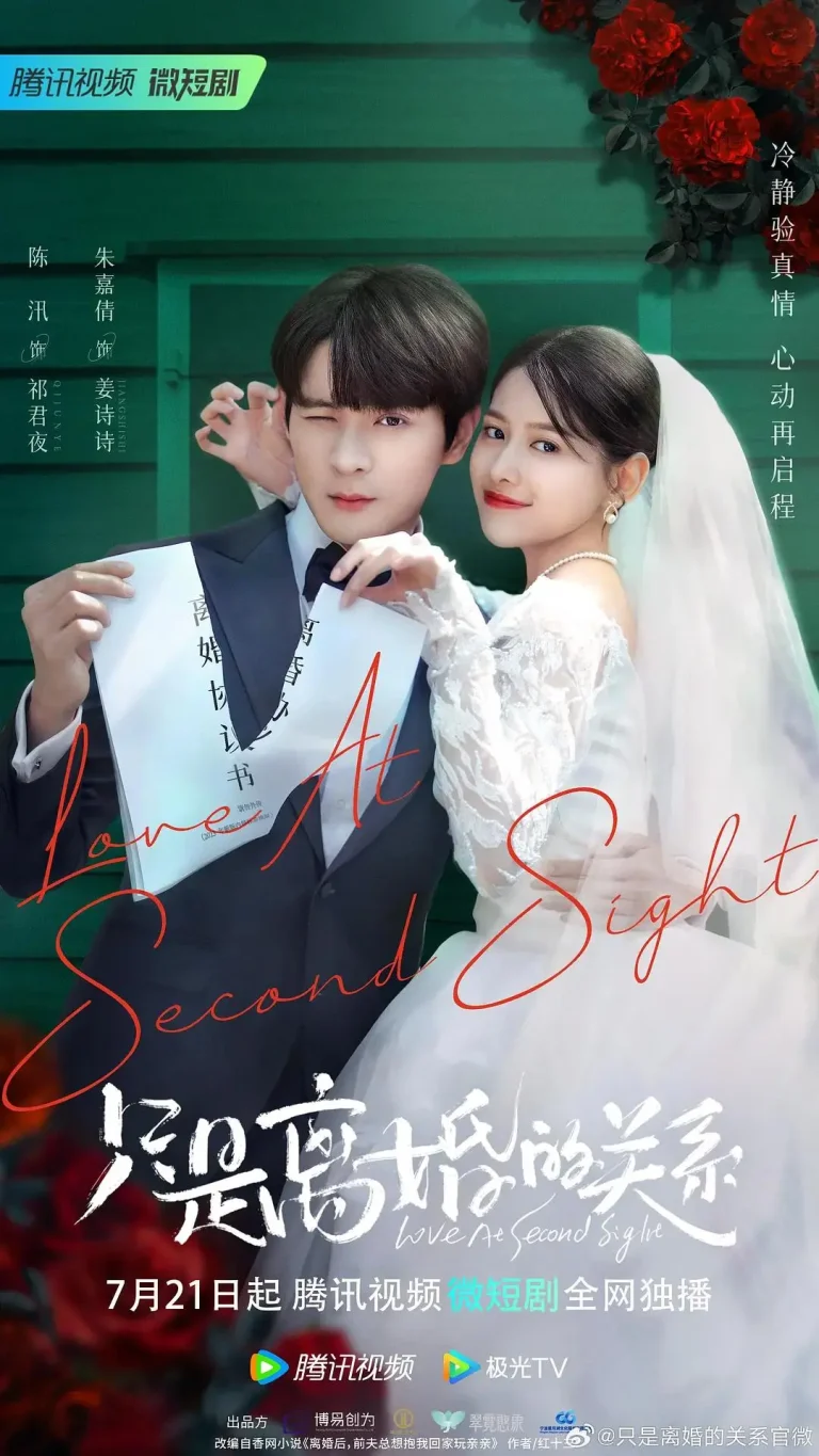 《只是离婚的关系》全集高清完整版在线观看与剧情解析