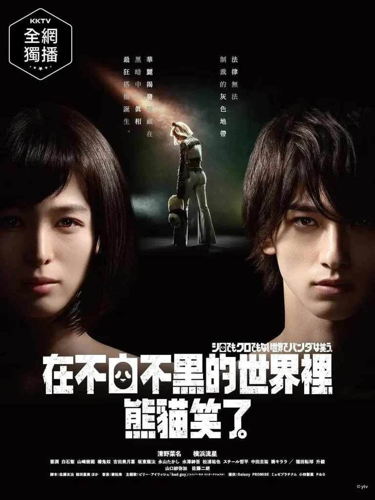 《在不白不黑的世界里,熊猫笑了》全集高清完整版在线观看与剧情解析