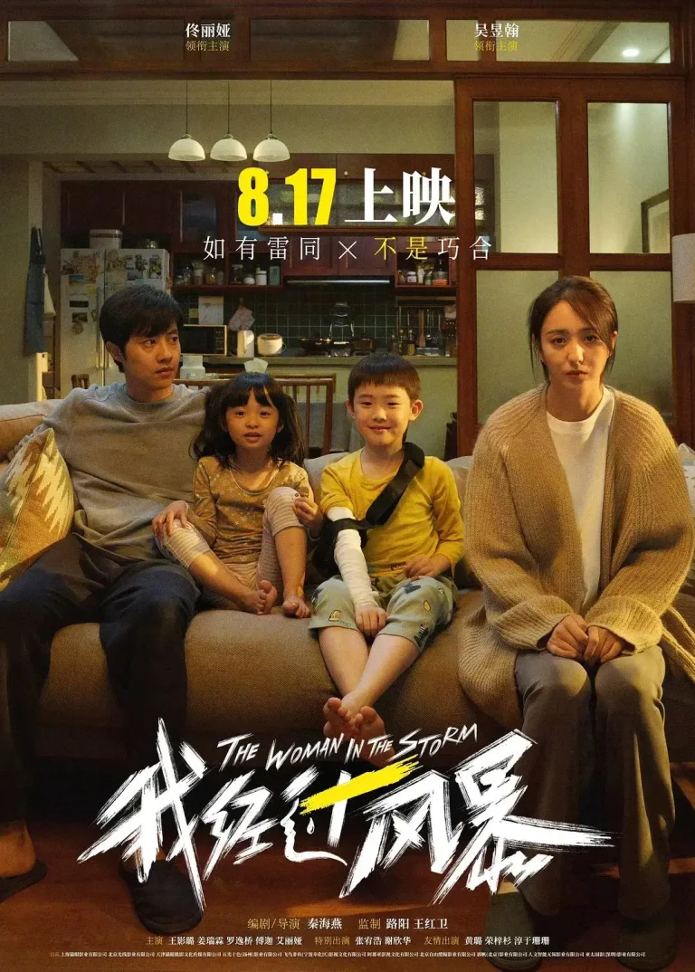 《我经过风暴》全集高清完整版在线观看与剧情解析