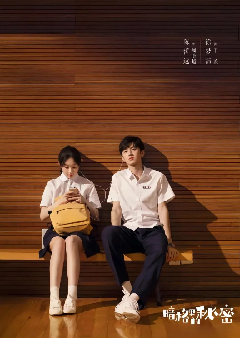 《暗格里的秘密》全集高清完整版在线观看与剧情解析