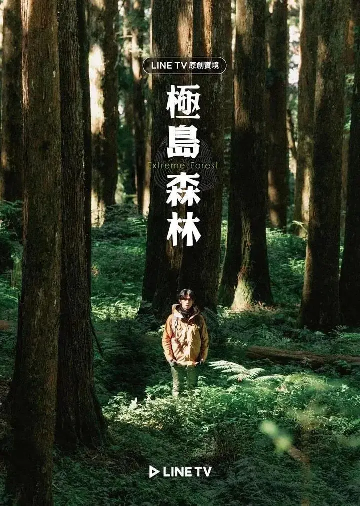 《极岛森林》全集高清完整版在线观看与剧情解析