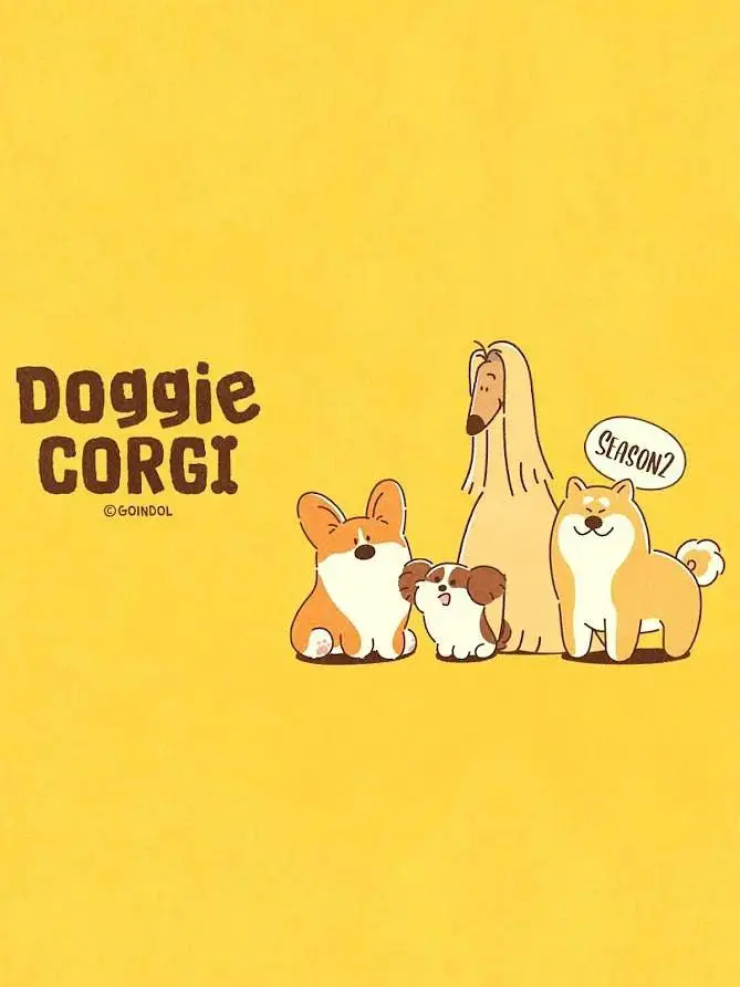 《柯基和伙伴的日常第二季》全集高清完整版在线观看与剧情解析