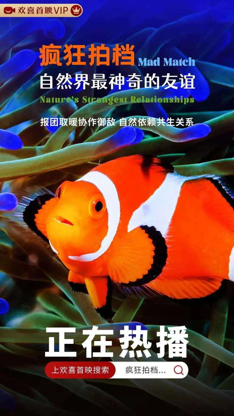 《疯狂拍档:自然界最神奇的友谊》全集高清完整版在线观看与剧情解析