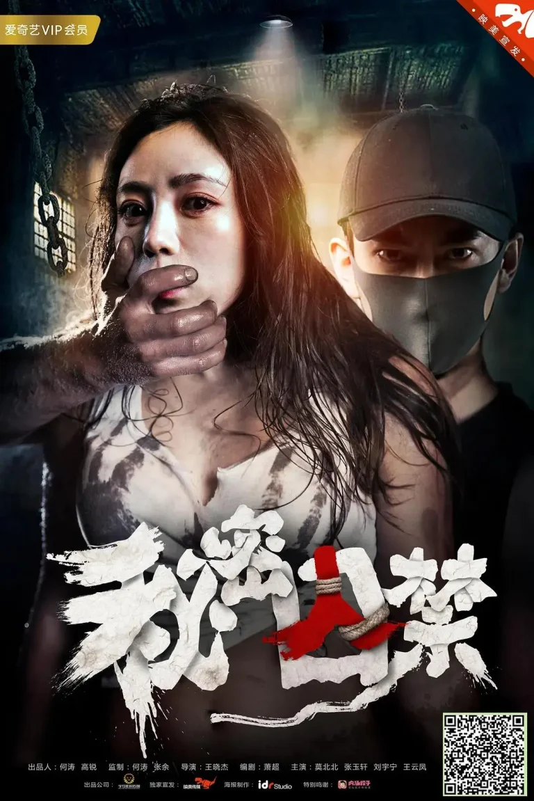 《秘密囚禁》全集高清完整版在线观看与剧情解析