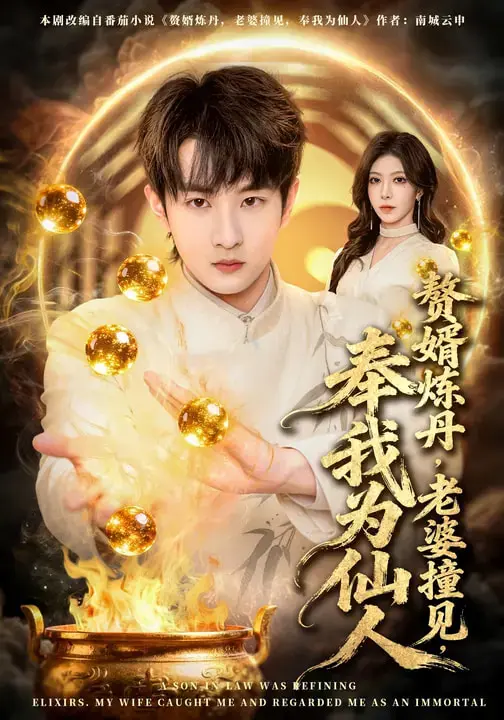 《赘婿炼丹,老婆撞见,奉我为仙人》全集高清完整版在线观看与剧情解析