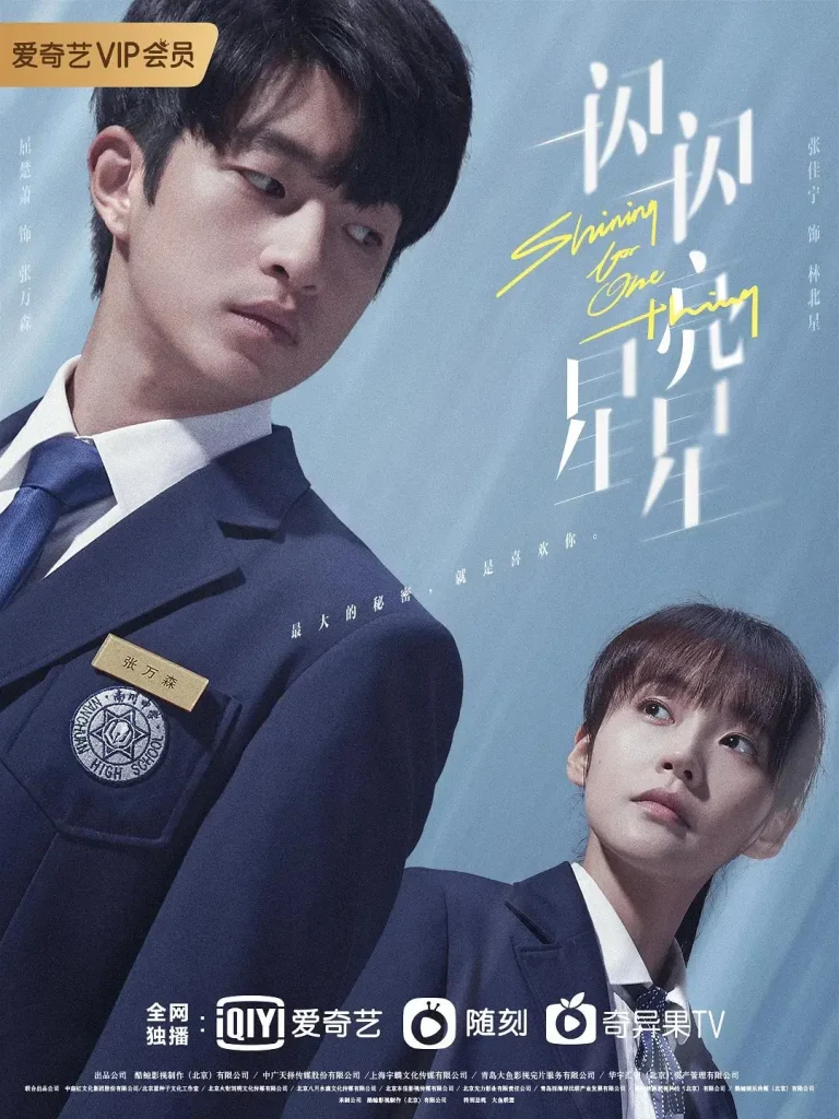 《一闪一闪亮星星》全集高清完整版在线观看与剧情解析