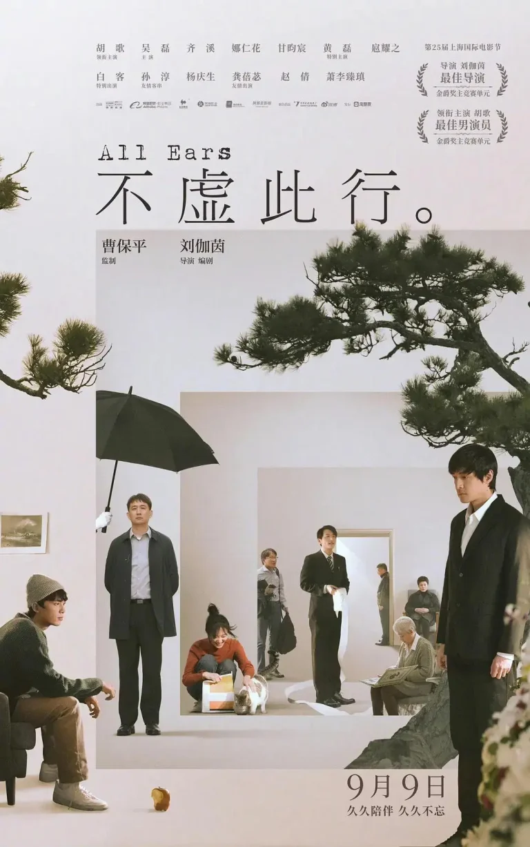 《不虚此行》全集高清完整版在线观看与剧情解析